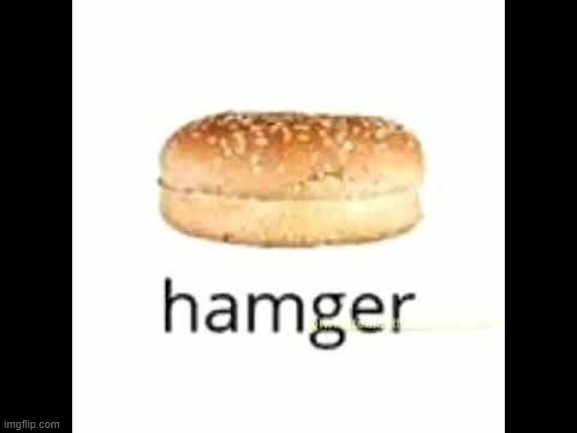 Hamger | image tagged in hamger | made w/ Imgflip meme maker