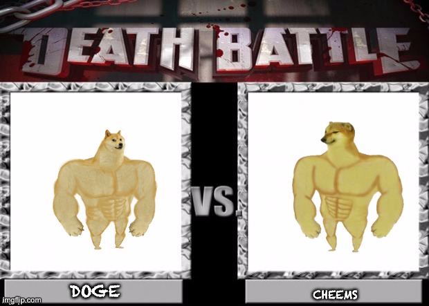hey don't worry none of em died they said to each other WE NO FIGHT | CHEEMS; DOGE | image tagged in death battle template | made w/ Imgflip meme maker