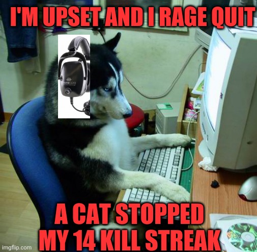 Dog gamer | I'M UPSET AND I RAGE QUIT; A CAT STOPPED MY 14 KILL STREAK | image tagged in memes,i have no idea what i am doing,cod,killstreak,cat,sheeit | made w/ Imgflip meme maker