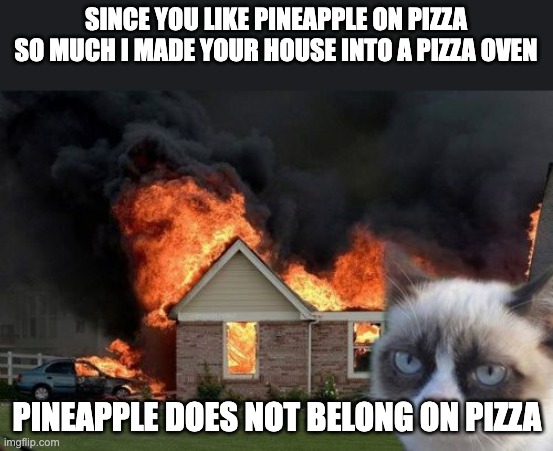 Burn Kitty Meme | SINCE YOU LIKE PINEAPPLE ON PIZZA SO MUCH I MADE YOUR HOUSE INTO A PIZZA OVEN PINEAPPLE DOES NOT BELONG ON PIZZA | image tagged in memes,burn kitty,grumpy cat | made w/ Imgflip meme maker