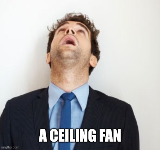 Things are looking up | A CEILING FAN | image tagged in guy looking up,ceiling fan,love is love,pick up lines | made w/ Imgflip meme maker
