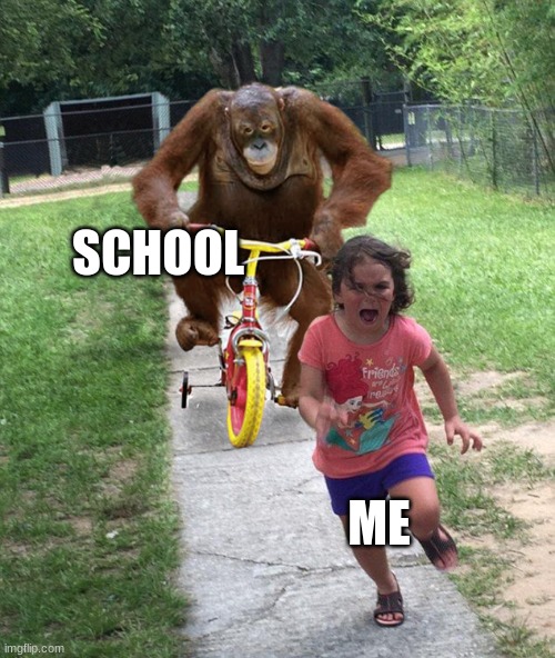 Orangutan chasing girl on a tricycle | SCHOOL; ME | image tagged in orangutan chasing girl on a tricycle | made w/ Imgflip meme maker