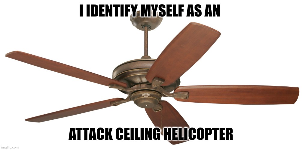 Ceiling fan | I IDENTIFY MYSELF AS AN ATTACK CEILING HELICOPTER | image tagged in ceiling fan | made w/ Imgflip meme maker