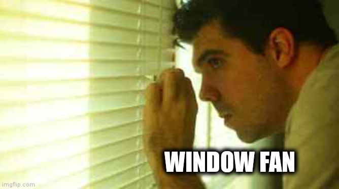 Paranoid guy  | WINDOW FAN | image tagged in paranoid guy | made w/ Imgflip meme maker