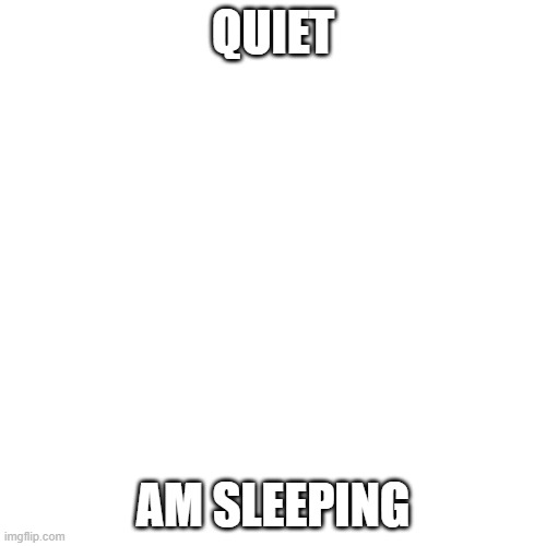 stap it | QUIET; AM SLEEPING | image tagged in memes,blank transparent square | made w/ Imgflip meme maker
