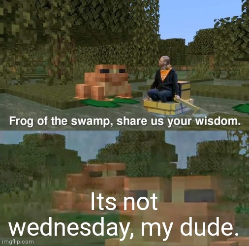 Frog of the swamp, share us your wisdom | Its not wednesday, my dude. | image tagged in frog of the swamp share us your wisdom | made w/ Imgflip meme maker