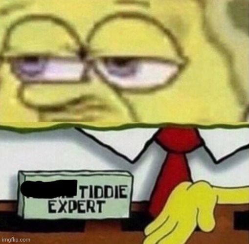 Spongebob Anime Tiddie Expert | image tagged in spongebob anime tiddie expert | made w/ Imgflip meme maker