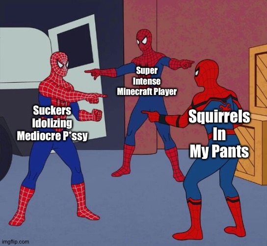 Which One? | Super Intense Minecraft Player; Suckers Idolizing Mediocre P*ssy; Squirrels In My Pants | image tagged in spider man triple | made w/ Imgflip meme maker