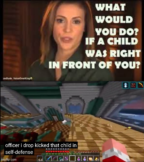 I know this is a repost, I came up with the idea before I knew someone else made it... | image tagged in officer i drop kicked that child in self-defense | made w/ Imgflip meme maker