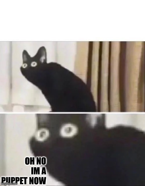 Oh No Black Cat | OH NO IM A PUPPET NOW | image tagged in oh no black cat | made w/ Imgflip meme maker