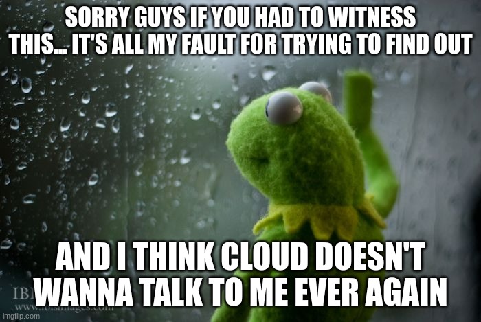 i think i lost an ally... :'( | SORRY GUYS IF YOU HAD TO WITNESS THIS... IT'S ALL MY FAULT FOR TRYING TO FIND OUT; AND I THINK CLOUD DOESN'T WANNA TALK TO ME EVER AGAIN | image tagged in kermit window | made w/ Imgflip meme maker