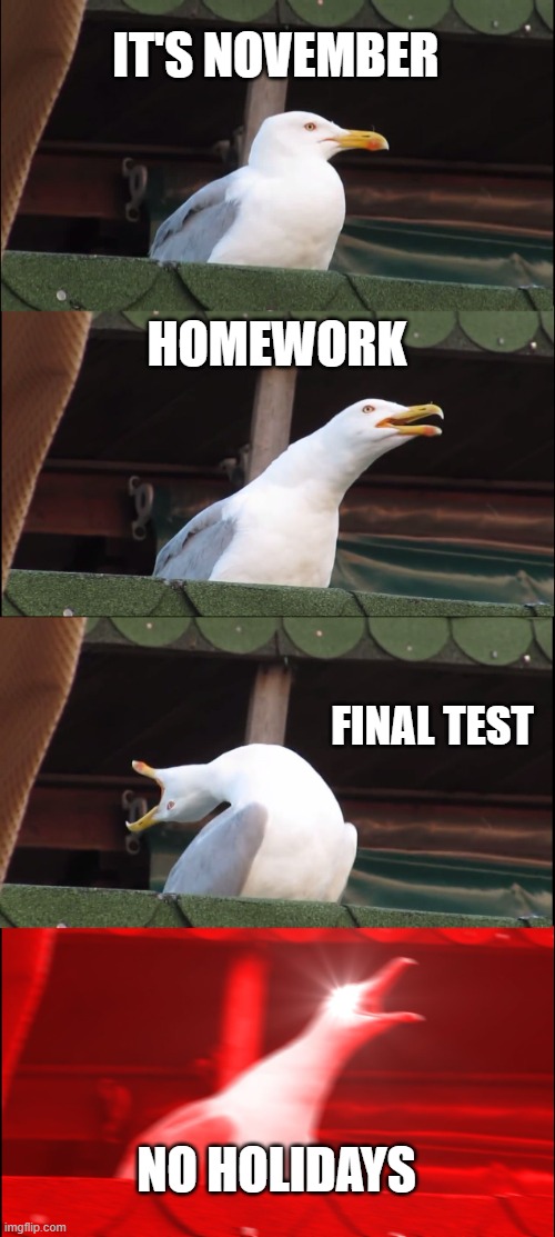 Inhaling Seagull | IT'S NOVEMBER; HOMEWORK; FINAL TEST; NO HOLIDAYS | image tagged in memes,inhaling seagull | made w/ Imgflip meme maker