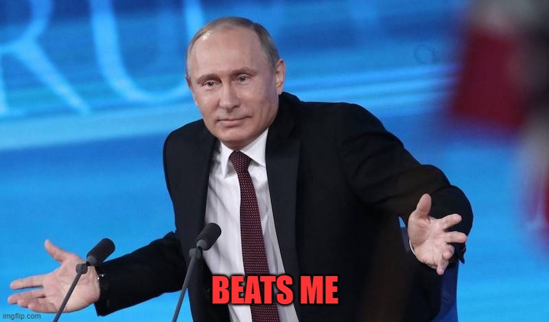 BEATS ME | image tagged in putin shrug | made w/ Imgflip meme maker