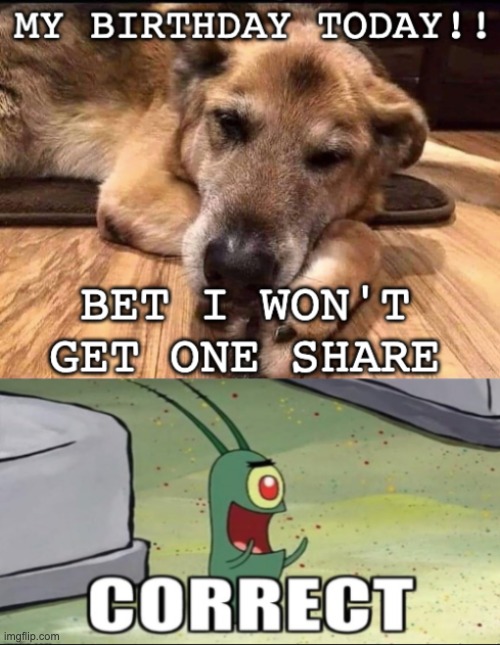 Making fun of: "you won't share" memes. | image tagged in dogs,spongebob,plankton,animals,sarcasm | made w/ Imgflip meme maker