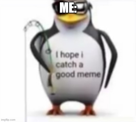 I hope I catch a good meme |  ME: | image tagged in i hope i catch a good meme | made w/ Imgflip meme maker