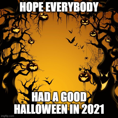 Halloween  | HOPE EVERYBODY; HAD A GOOD HALLOWEEN IN 2021 | image tagged in halloween | made w/ Imgflip meme maker