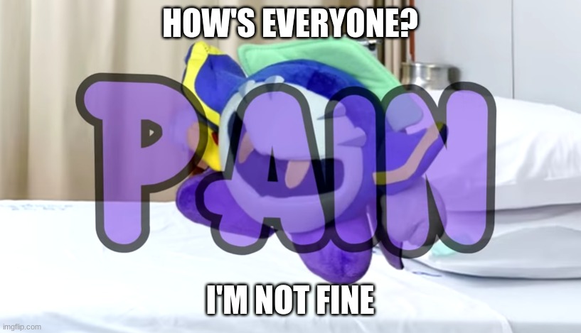 Meta Knight pain | HOW'S EVERYONE? I'M NOT FINE | image tagged in meta knight pain | made w/ Imgflip meme maker