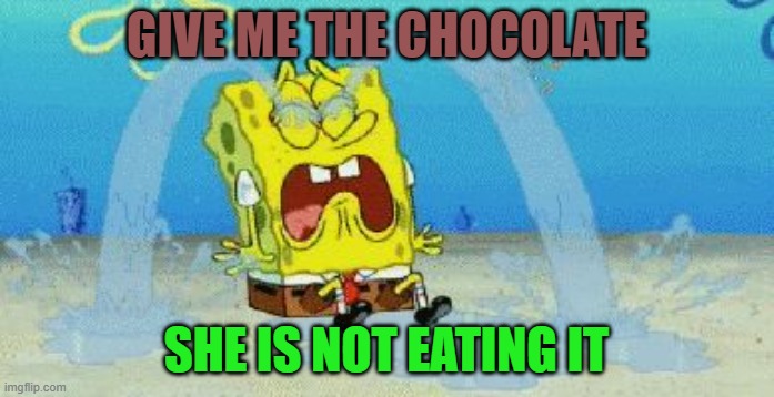 cryin | GIVE ME THE CHOCOLATE SHE IS NOT EATING IT | image tagged in cryin | made w/ Imgflip meme maker