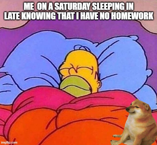 no homework | ME  ON A SATURDAY SLEEPING IN LATE KNOWING THAT I HAVE NO HOMEWORK | image tagged in homer simpson sleeping peacefully,memes | made w/ Imgflip meme maker