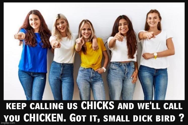 image tagged in girls,women,ladies,chicks,slang,female | made w/ Imgflip meme maker