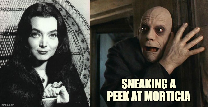 SNEAKING A PEEK AT MORTICIA | image tagged in morticia addams,fact fear fester | made w/ Imgflip meme maker