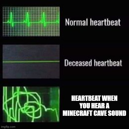 Heartbeat rate gone nuts | HEARTBEAT WHEN YOU HEAR A MINECRAFT CAVE SOUND | image tagged in heartbeat rate,memes,lol,minecraft,oh wow are you actually reading these tags | made w/ Imgflip meme maker