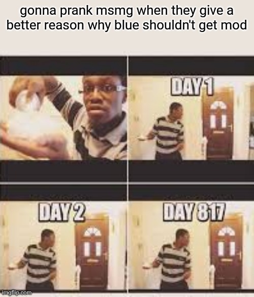 at this point he should have his mod back | gonna prank msmg when they give a better reason why blue shouldn't get mod | image tagged in gonna prank x when he/she gets home | made w/ Imgflip meme maker