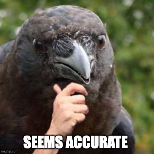 Seems Accurate | SEEMS ACCURATE | image tagged in seems accurate | made w/ Imgflip meme maker