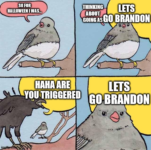 Annoying crow | LETS GO BRANDON; SO FOR HALLOWEEN I WAS... THINKING ABOUT GOING AS; LETS GO BRANDON; HAHA ARE YOU TRIGGERED | image tagged in annoying crow | made w/ Imgflip meme maker