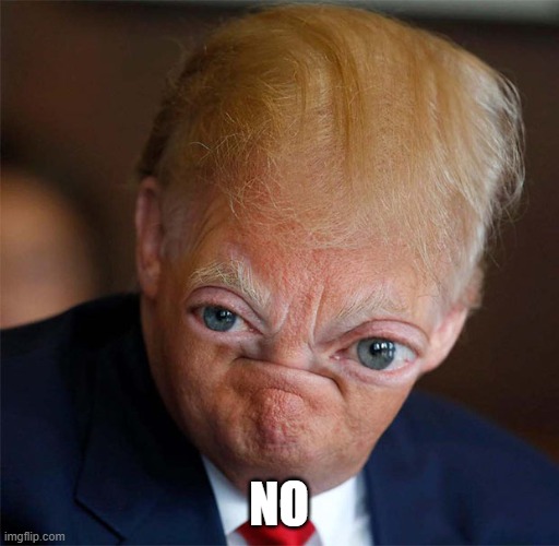 Waw noice very noice | NO | image tagged in waw noice very noice | made w/ Imgflip meme maker
