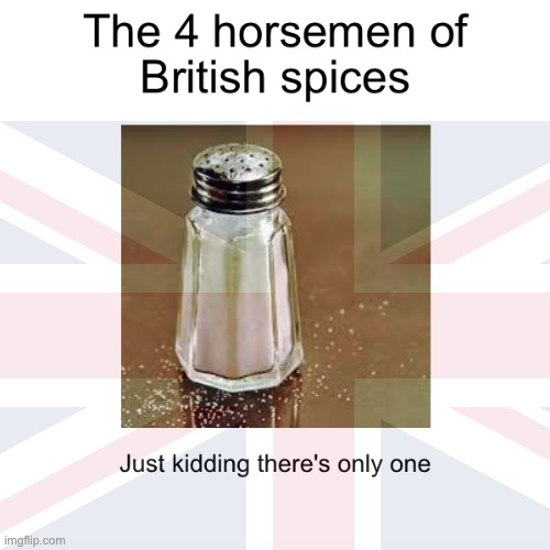 God Save the Queen *salutes* | image tagged in memes,unfunny | made w/ Imgflip meme maker