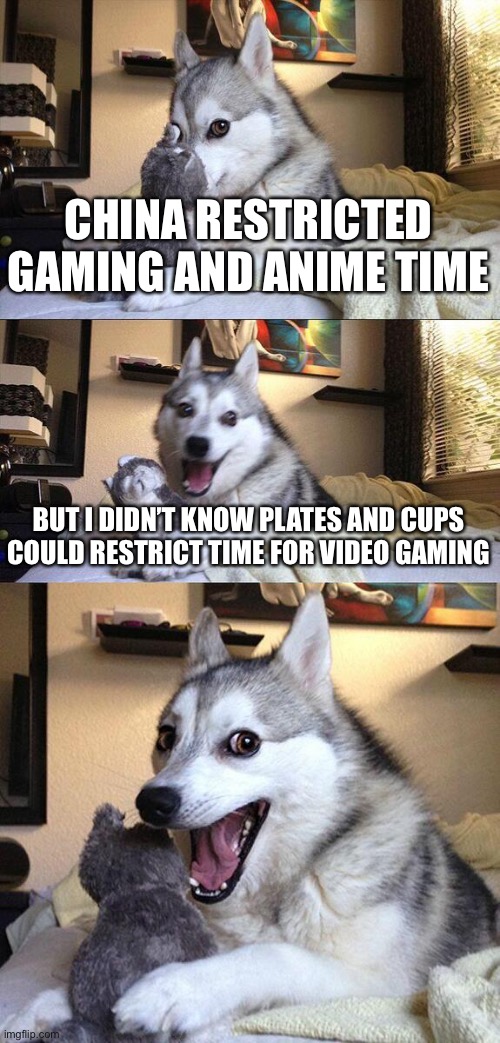 What next, paper plates restrict time on watching films and playing Soccer/Football? | CHINA RESTRICTED GAMING AND ANIME TIME; BUT I DIDN’T KNOW PLATES AND CUPS COULD RESTRICT TIME FOR VIDEO GAMING | image tagged in memes,bad pun dog,unfunny,china,video games,anime | made w/ Imgflip meme maker