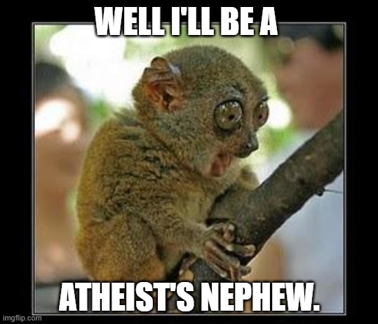 monkey with stick |  WELL I'LL BE A; ATHEIST'S NEPHEW. | image tagged in monkey with stick | made w/ Imgflip meme maker