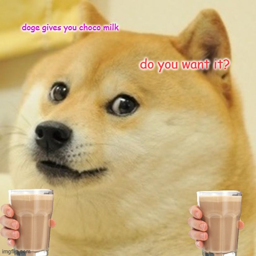 Do you want it? | doge gives you choco milk; do you want it? | image tagged in memes,doge | made w/ Imgflip meme maker