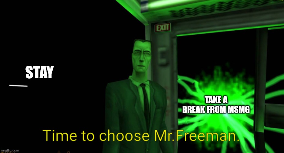 Time to choose Mr.Freeman | TAKE A BREAK FROM MSMG STAY | image tagged in time to choose mr freeman | made w/ Imgflip meme maker
