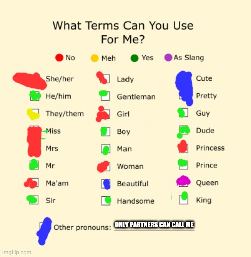 Only partners cann call me the blue ones | ONLY PARTNERS CAN CALL ME | image tagged in pronouns sheet | made w/ Imgflip meme maker