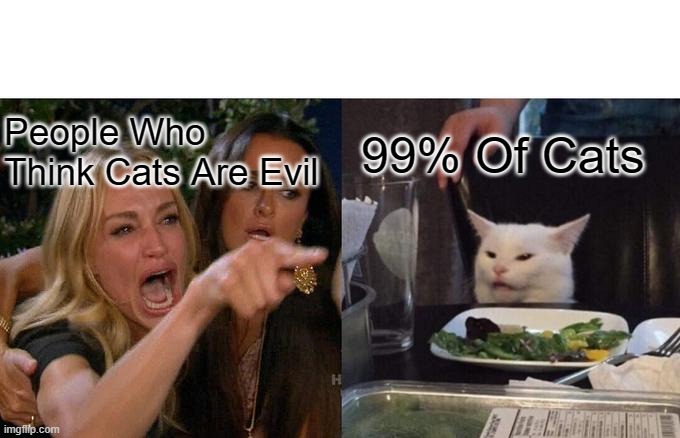 3rd Meme! | People Who Think Cats Are Evil; 99% Of Cats | image tagged in memes,woman yelling at cat | made w/ Imgflip meme maker