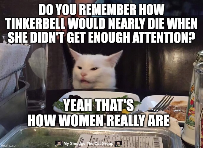 DO YOU REMEMBER HOW TINKERBELL WOULD NEARLY DIE WHEN SHE DIDN'T GET ENOUGH ATTENTION? YEAH THAT'S HOW WOMEN REALLY ARE | image tagged in smudge the cat | made w/ Imgflip meme maker