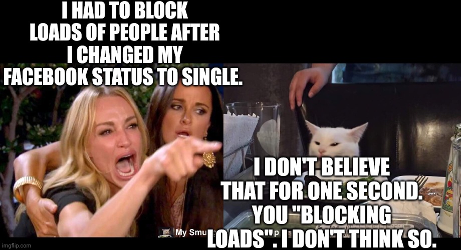 I HAD TO BLOCK LOADS OF PEOPLE AFTER I CHANGED MY FACEBOOK STATUS TO SINGLE. I DON'T BELIEVE THAT FOR ONE SECOND. YOU "BLOCKING LOADS". I DON'T THINK SO. | image tagged in smudge the cat | made w/ Imgflip meme maker