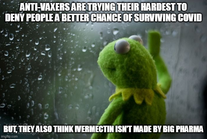 kermit window | ANTI-VAXERS ARE TRYING THEIR HARDEST TO DENY PEOPLE A BETTER CHANCE OF SURVIVING COVID; BUT, THEY ALSO THINK IVERMECTIN ISN'T MADE BY BIG PHARMA | image tagged in kermit window | made w/ Imgflip meme maker