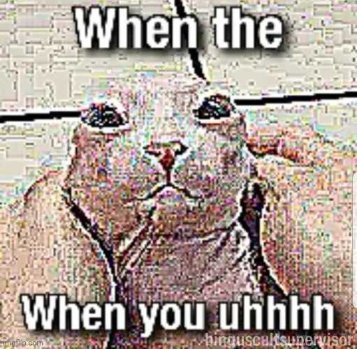 Uhhhh | image tagged in uhh,when,the uhhh | made w/ Imgflip meme maker