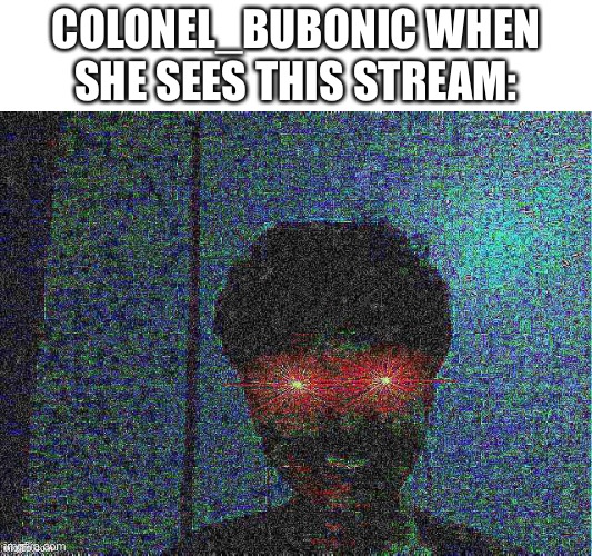 Dank |  COLONEL_BUBONIC WHEN SHE SEES THIS STREAM: | image tagged in dank | made w/ Imgflip meme maker