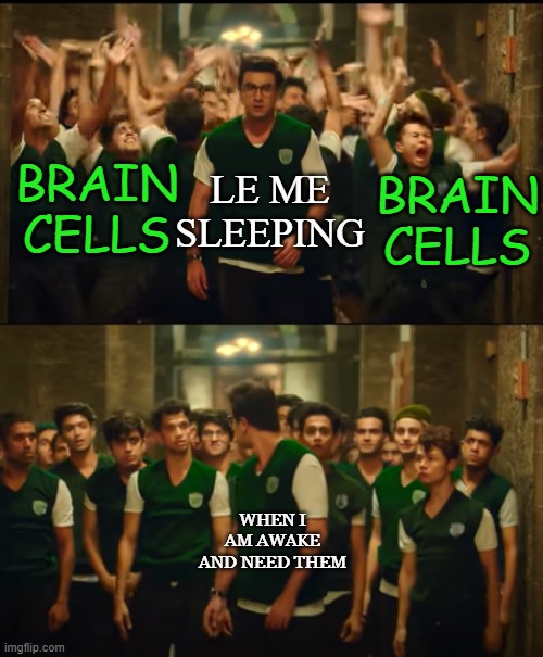 brain cells in a nutshell | BRAIN CELLS; LE ME SLEEPING; BRAIN CELLS; WHEN I AM AWAKE AND NEED THEM | image tagged in idk title,just a title for this temp,in a nutshell | made w/ Imgflip meme maker