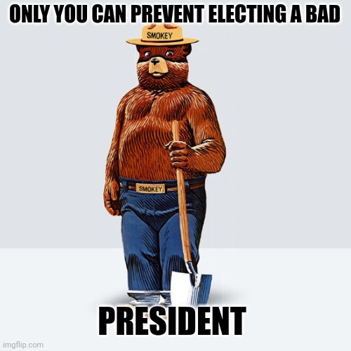 Smokey The Bear | ONLY YOU CAN PREVENT ELECTING A BAD; PRESIDENT | image tagged in public service announcement | made w/ Imgflip meme maker