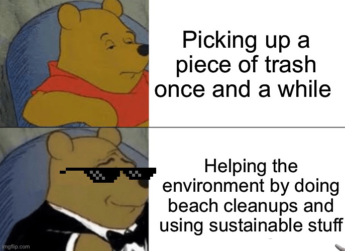 Be sustainable | Picking up a piece of trash once and a while; Helping the environment by doing beach cleanups and using sustainable stuff | image tagged in memes,tuxedo winnie the pooh,climate change,sucks | made w/ Imgflip meme maker