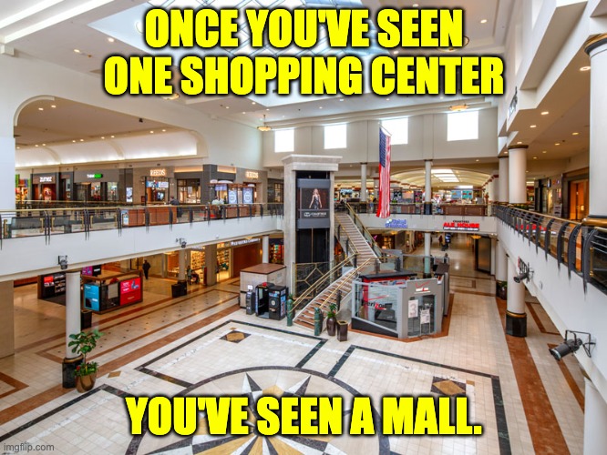 Shopping | ONCE YOU'VE SEEN ONE SHOPPING CENTER; YOU'VE SEEN A MALL. | image tagged in mall | made w/ Imgflip meme maker