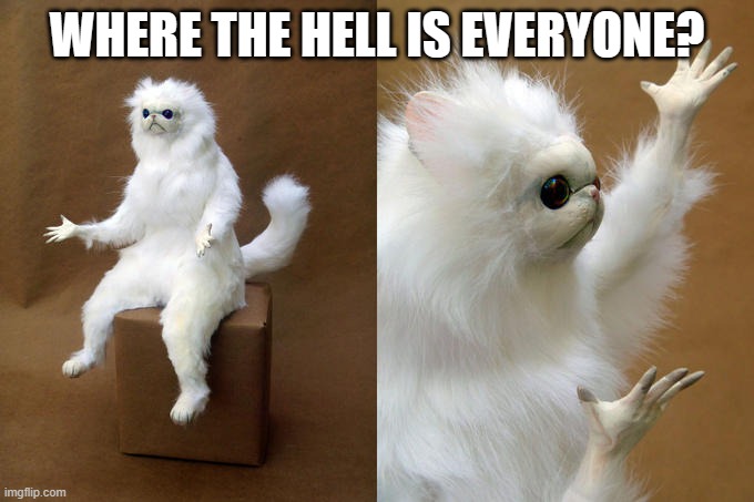 ???????????????????????????????????????? | WHERE THE HELL IS EVERYONE? | image tagged in memes,persian cat room guardian | made w/ Imgflip meme maker