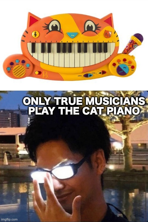 cat piano. | ONLY TRUE MUSICIANS PLAY THE CAT PIANO | image tagged in anime glasses,memes,unfunny | made w/ Imgflip meme maker