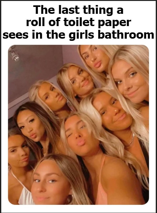 The last thing a roll of toilet paper sees in the girls bathroom | image tagged in run and hide | made w/ Imgflip meme maker