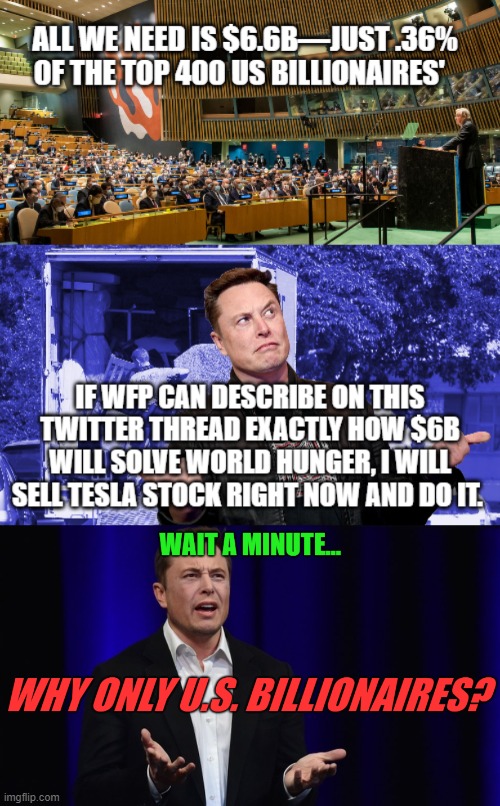 UN is Full of Crap! | image tagged in un,musk,politics | made w/ Imgflip meme maker